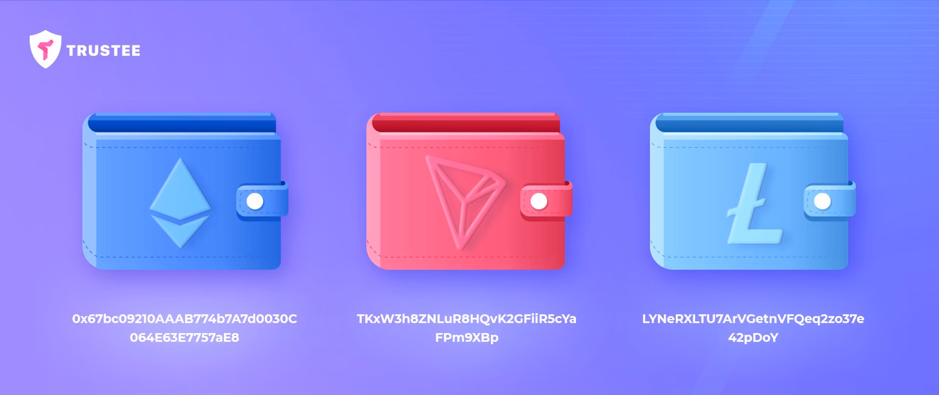 Ethereum Tron Litecoin and cryptocurrency wallet addresses
