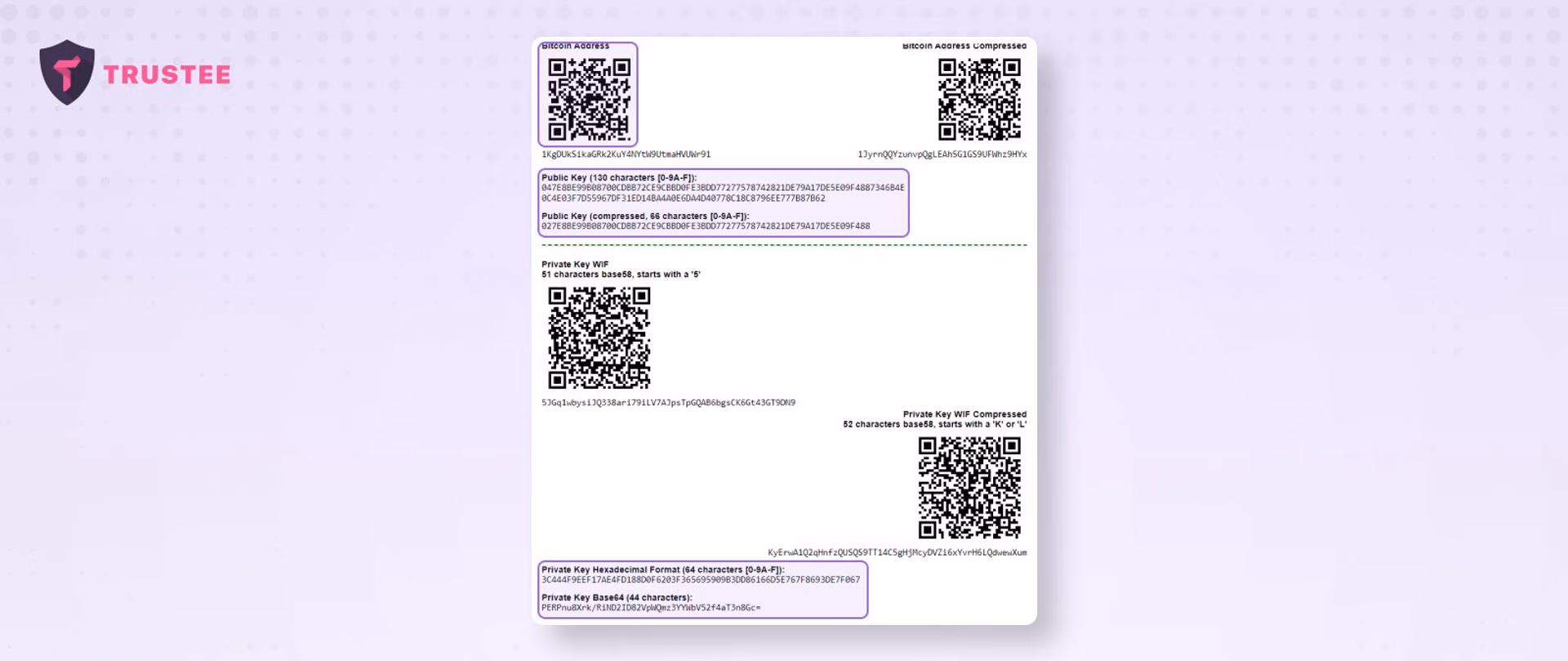 Bitcoin wallet public key and private key