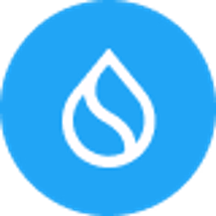 coin icon