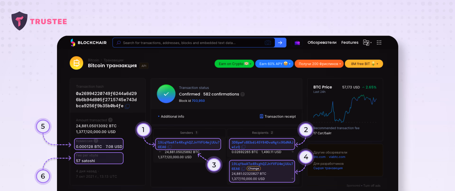 BTC transaction data in a Bitcoin blockchain explorer
