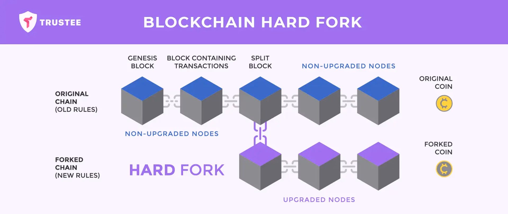 what is a cryptocurrency hard fork and blockchain fork