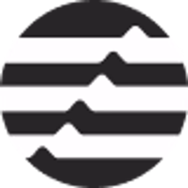 coin icon